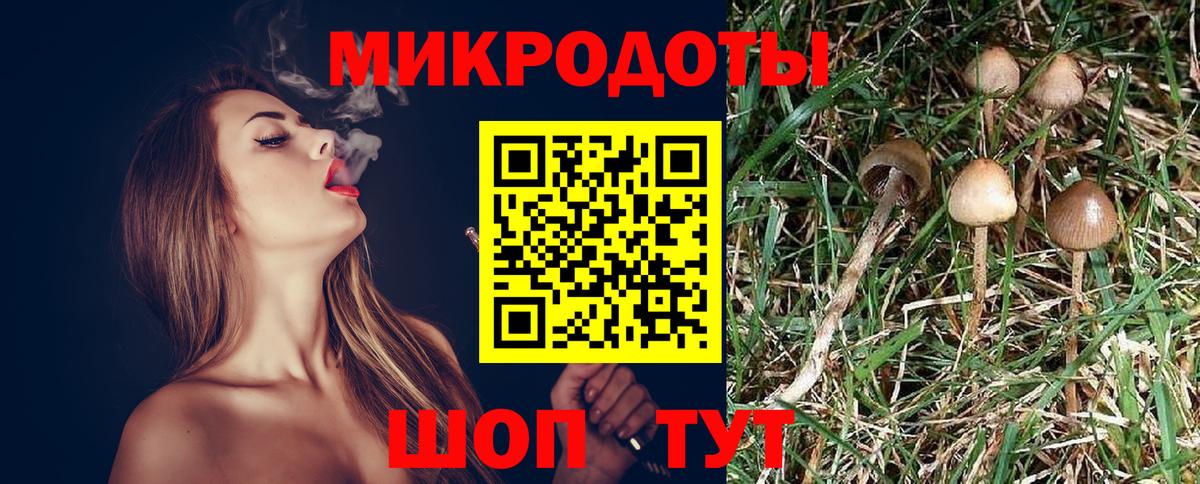 Ачхой-Мартан  Галлюциногенные грибы ЛСД  Вход с VPN 